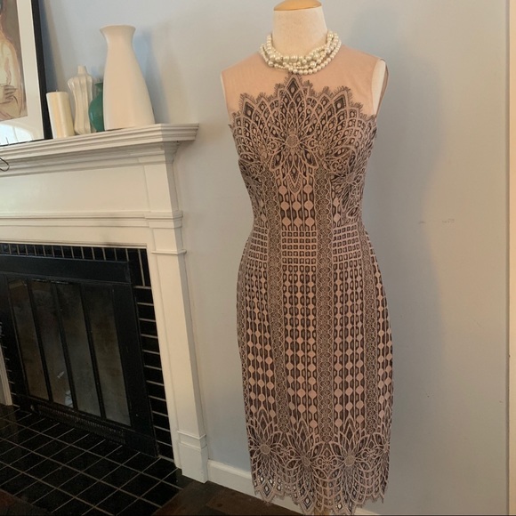 BCBG MaxAzria blush & black lace dress NEW nude - Picture 9 of 16